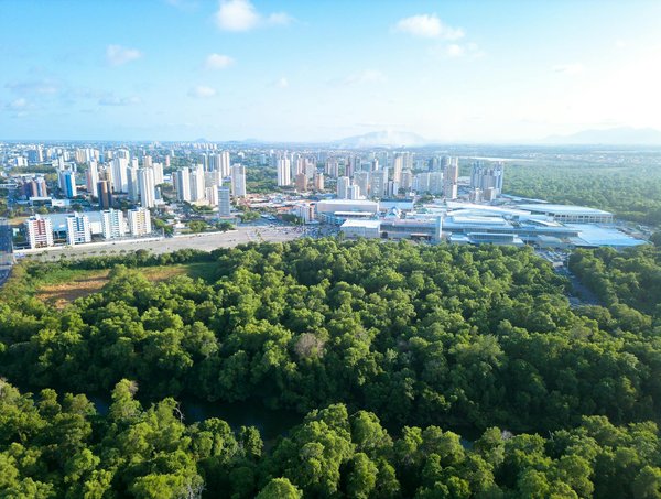 Adoptez le bien-être grâce à un mode de vie éco-responsable