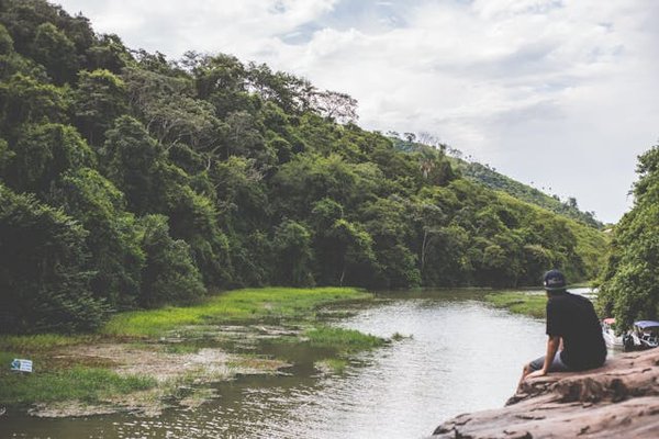 Quels conseils pour réussir en tant que gestionnaire de projets de reforestation ?